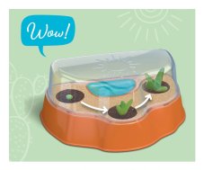 Kaktus na poušti - miniskleník pro děti