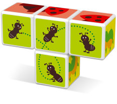 Magicube Insects -  Magnetické kostky Svět hmyzu 4 díly