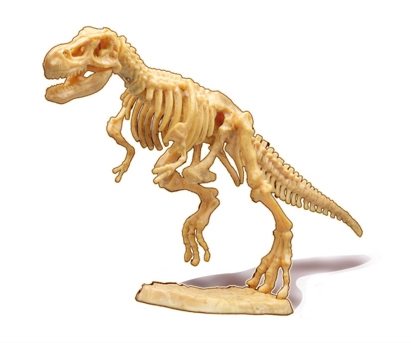 Dinodig vykopávka a kostra Tyranosaurus