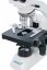 Mikroskop Levenhuk 500B Binocular