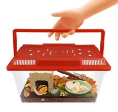 Miniterárium pre slimáky