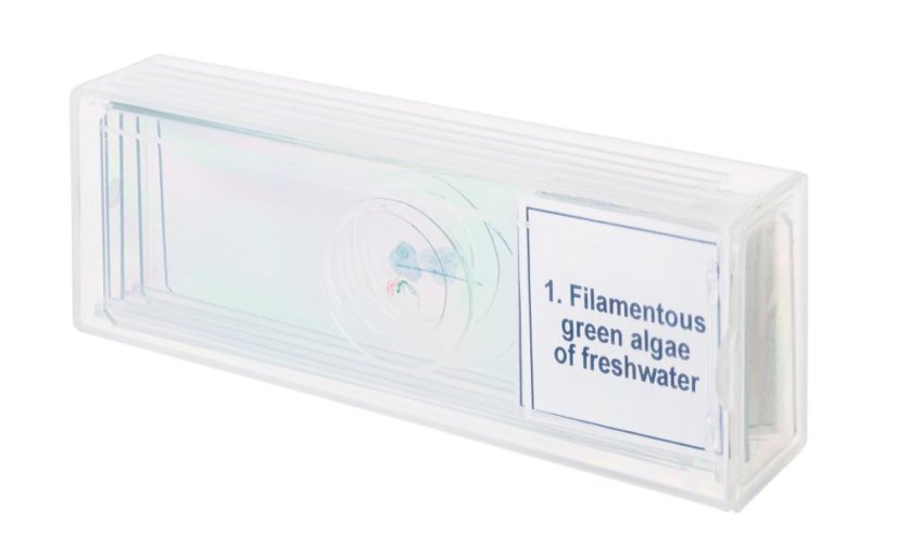 Mikroskopické preparáty Discovery Biologie