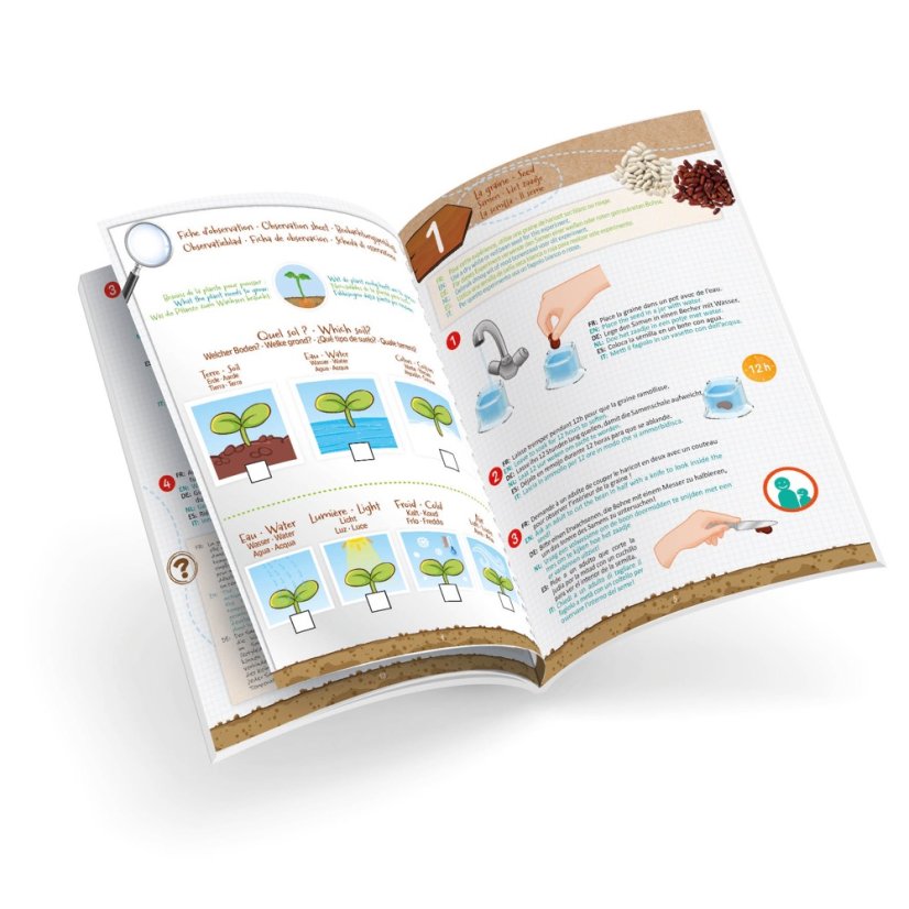 První výhonky – sada pro pozorování klíčení rostlin