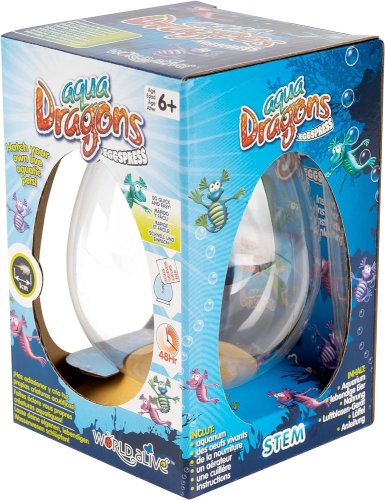 Vodní dráčci žábronožka solná - EggSpress