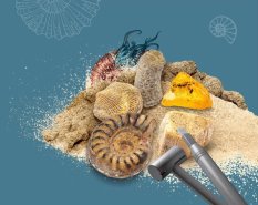 Vykopávky fosílií pre deti