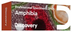 Mikroskopické preparáty Discovery Obojživelníky