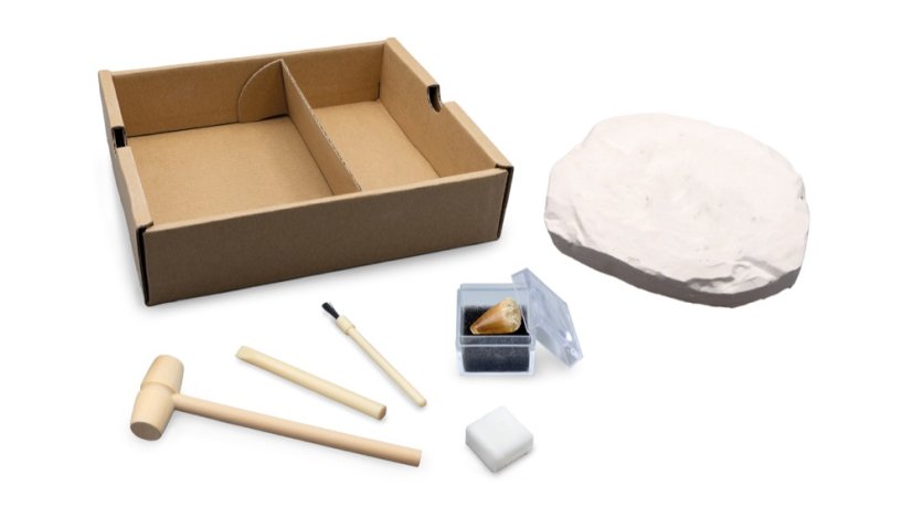 Dinodig vykopávka a kostra Triceratops