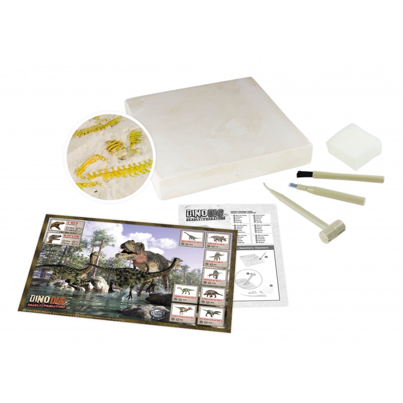 Vykopávky 2 dinosaurů