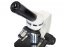 Mikroskop Discovery Channel Femto Polar