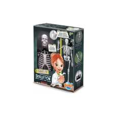 Lidská kostra 45cm - edukační hračka