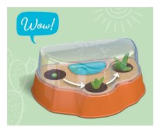 Kaktus na poušti - miniskleník pro děti